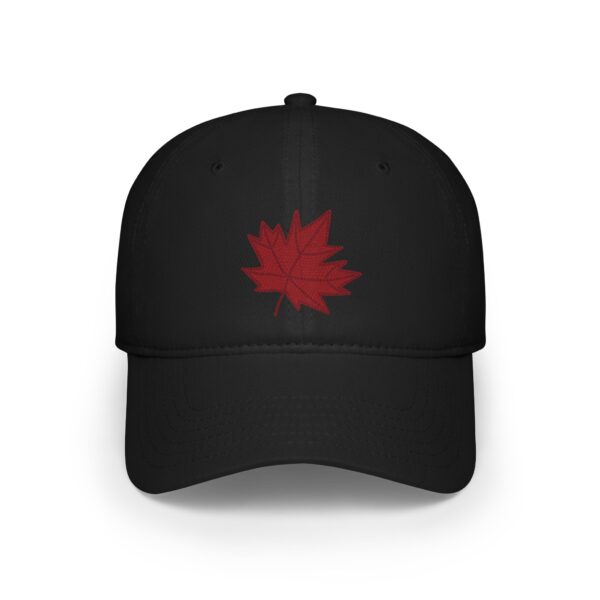 Indigenous Canada Cap - Image 9