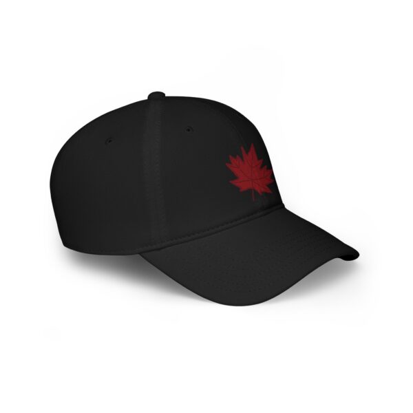 Indigenous Canada Cap - Image 11