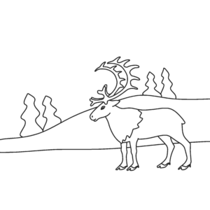 Reindeer Caribou Kids Indigenous Colour Sheet - FREE!
